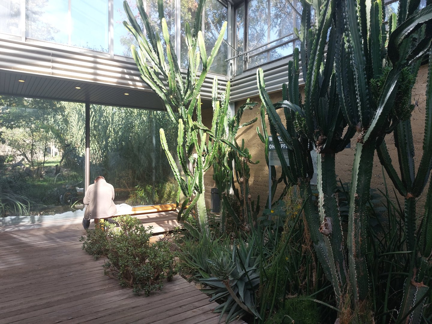 Etosha - Nephila spider walkthrough