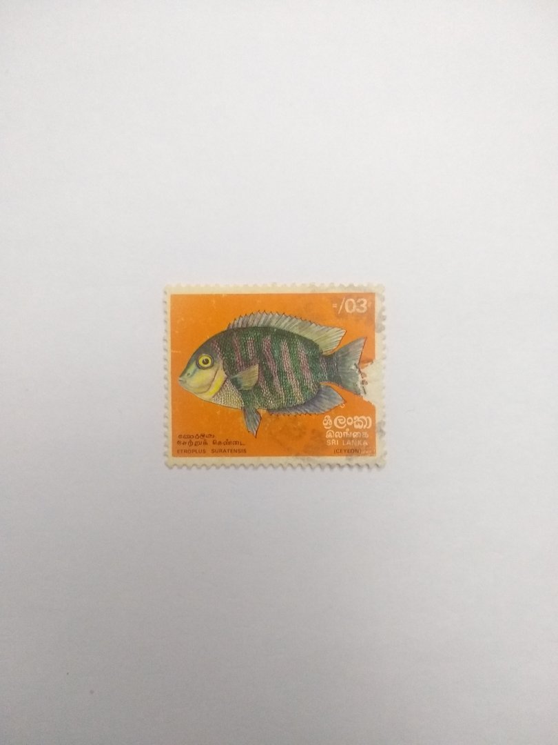 Etroplus suratensis - Postage stamp Sri Lanka