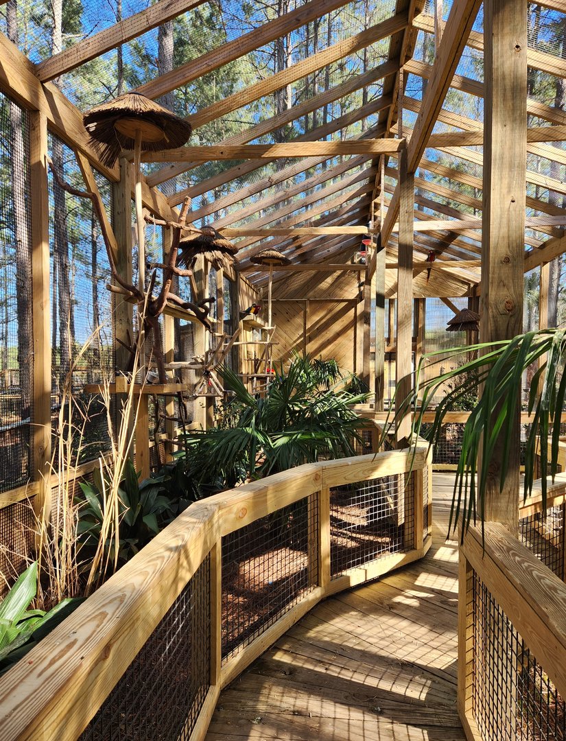 Eudora Wildlife Safari Park - Aviary from inside
