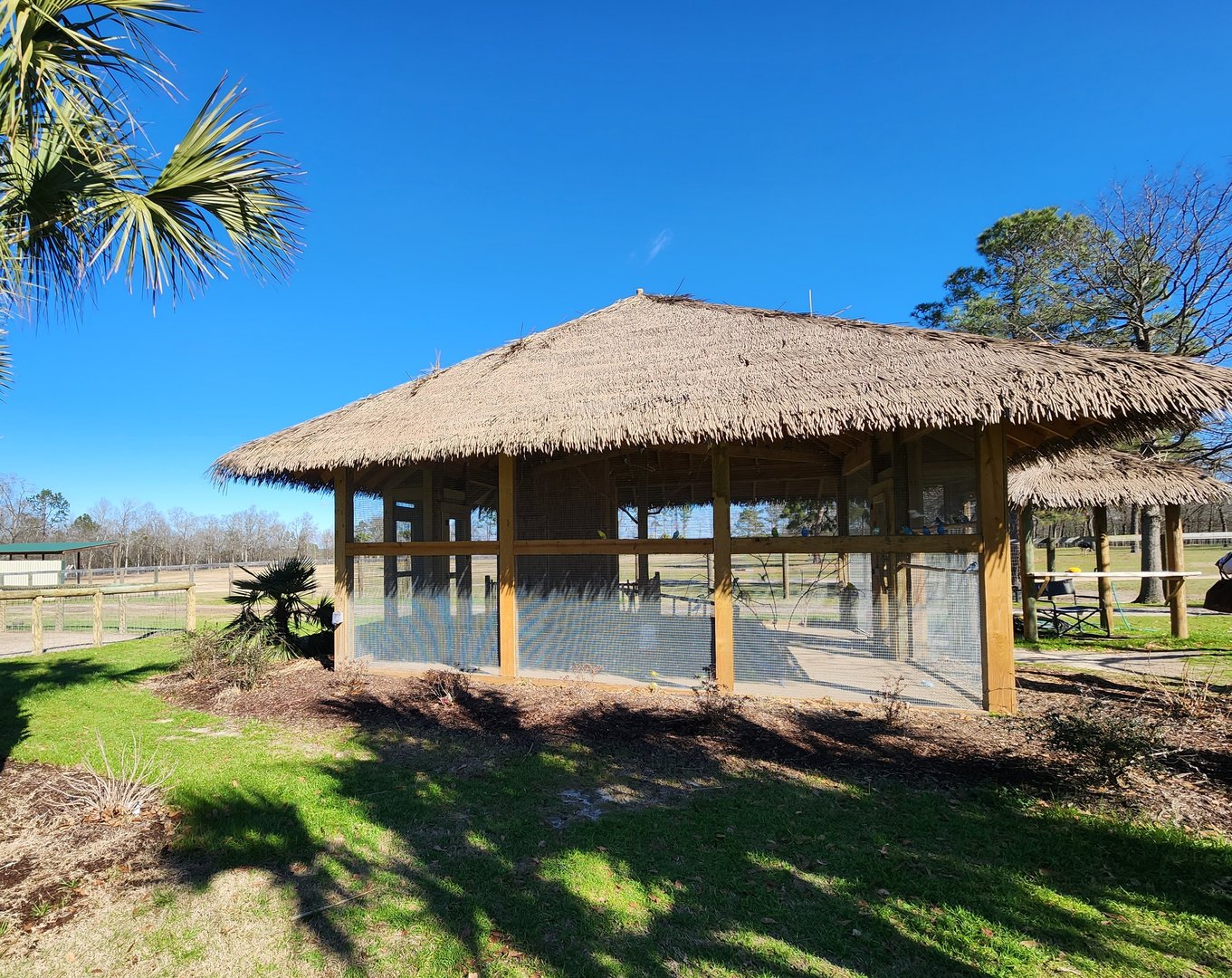Eudora Wildlife Safari Park - Budgie aviary