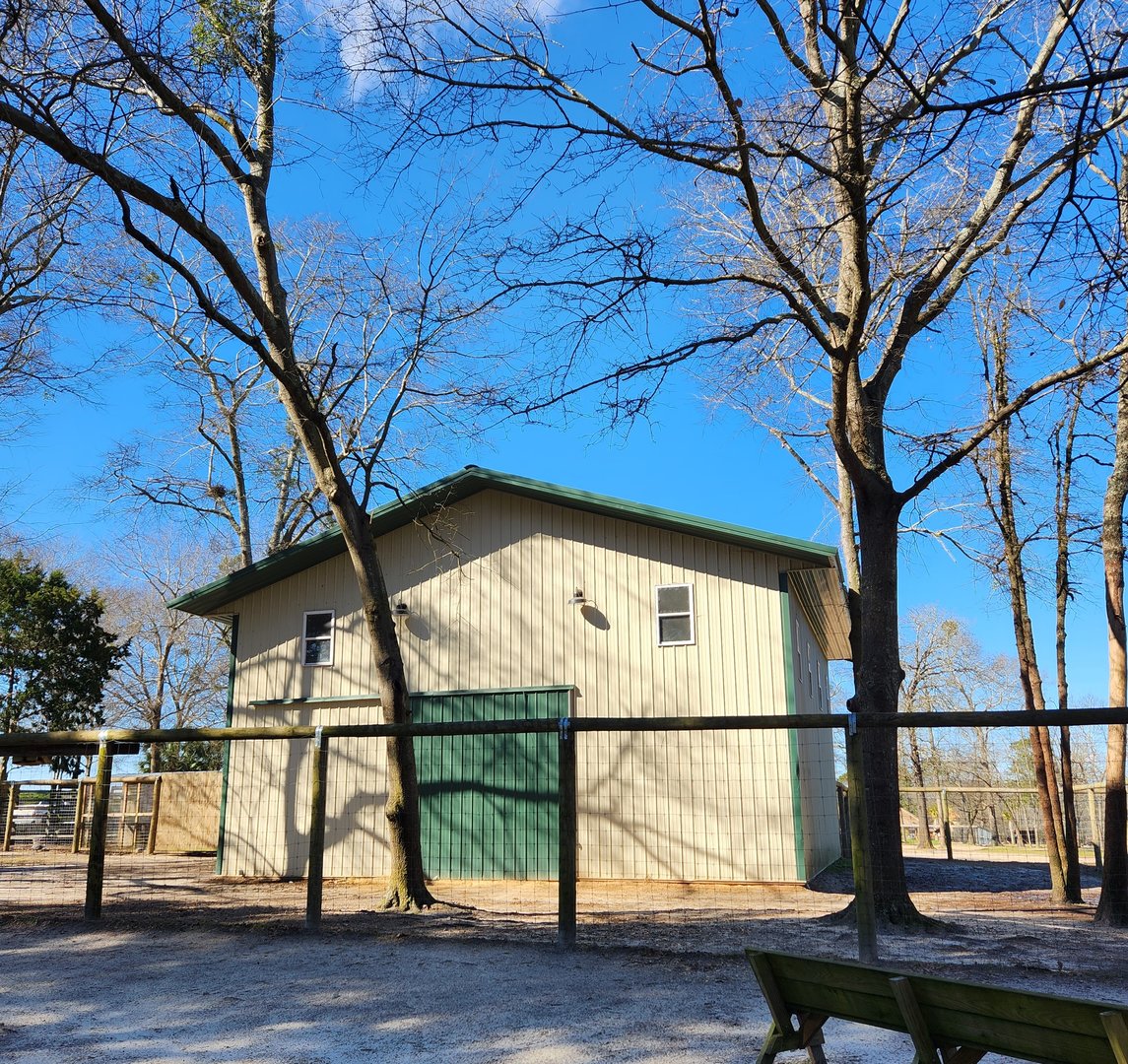 Eudora Wildlife Safari Park - Giraffe barn