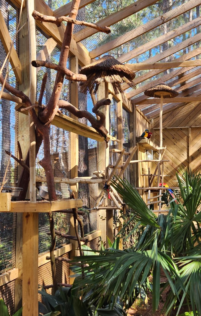 Eudora Wildlife Safari Park - Macaws hanging out