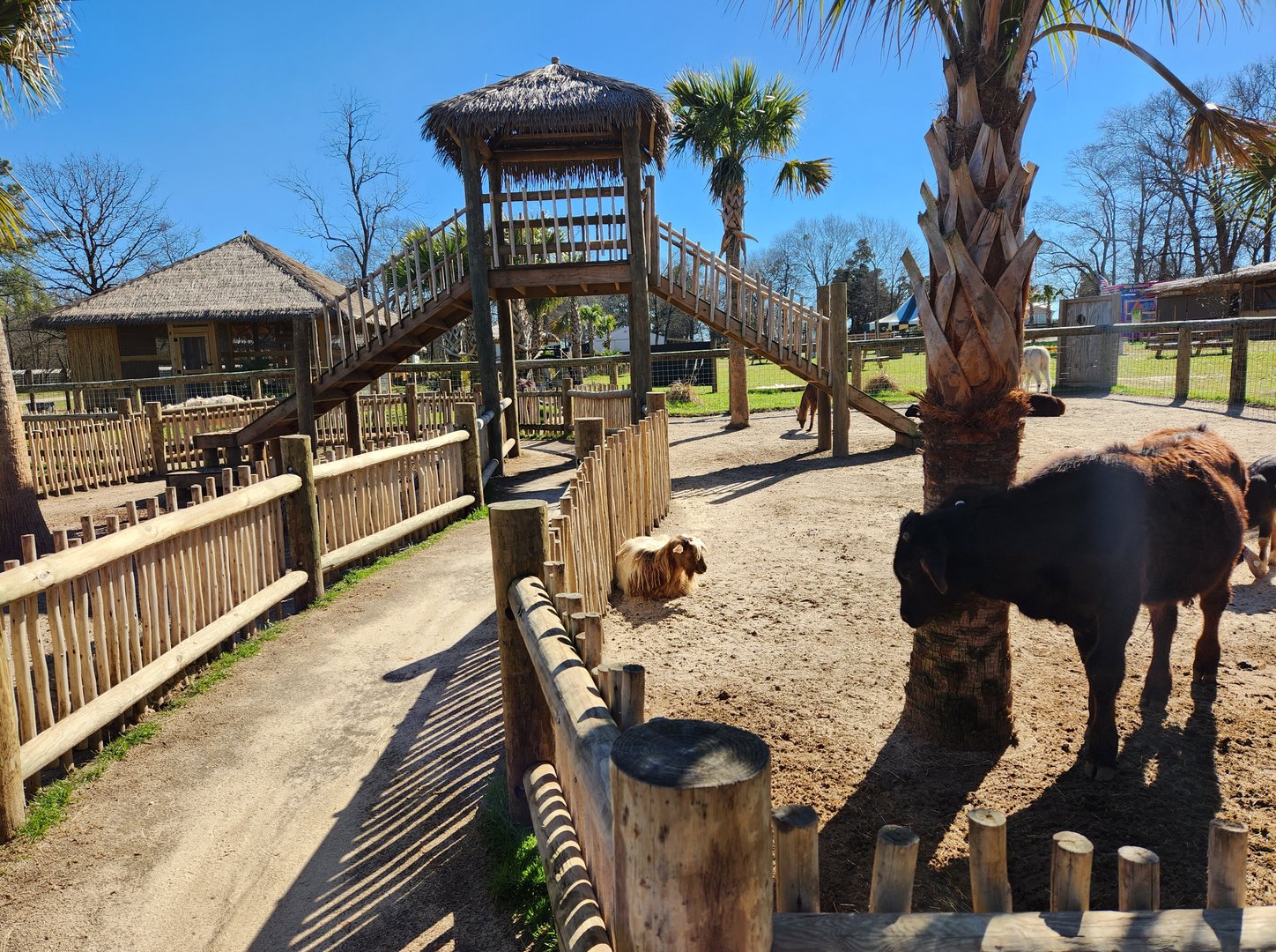 Eudora Wildlife Safari Park - Petting zoo pathway