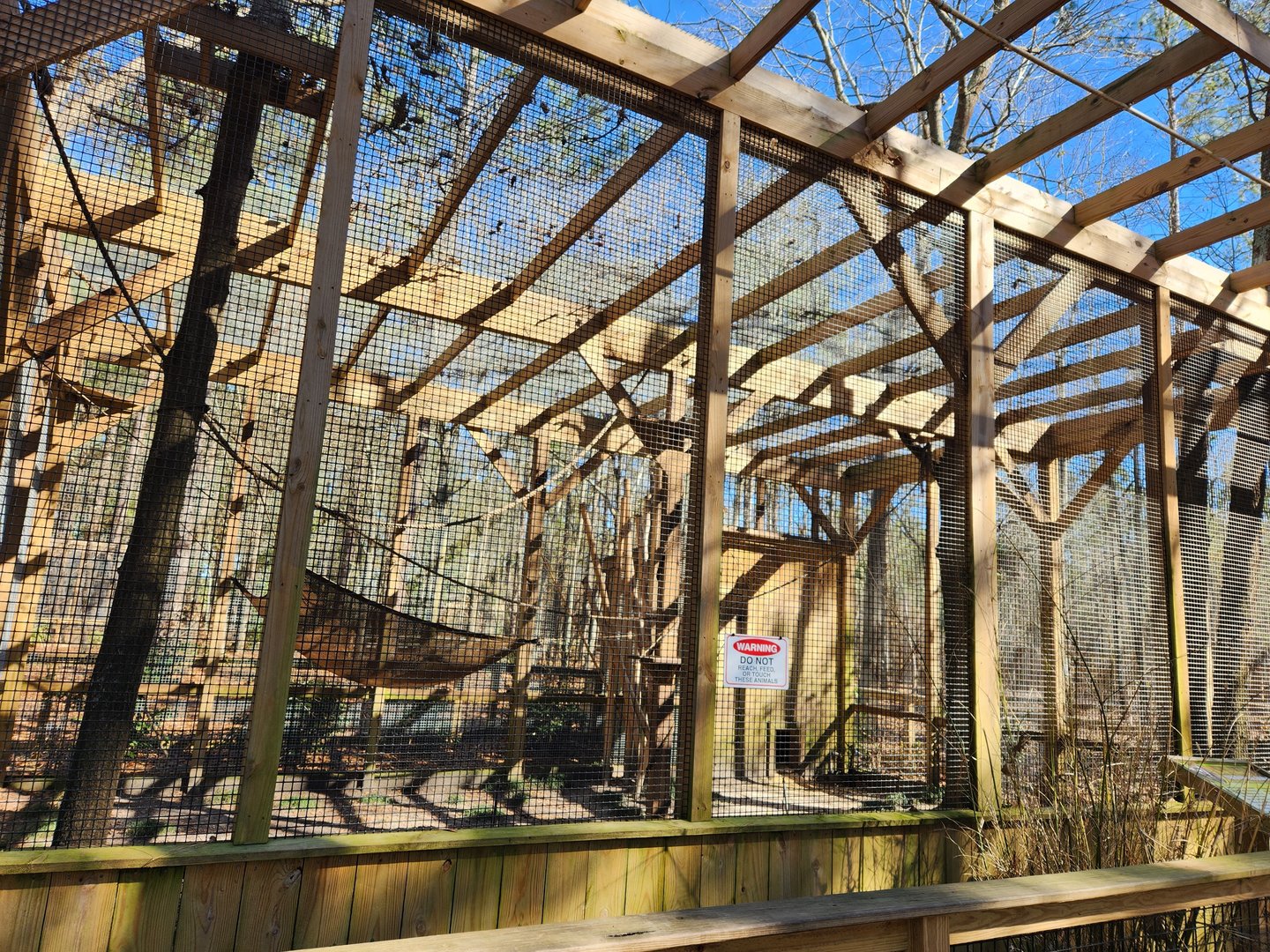 Eudora Wildlife Safari Park - Ringtail Lemur exhibit