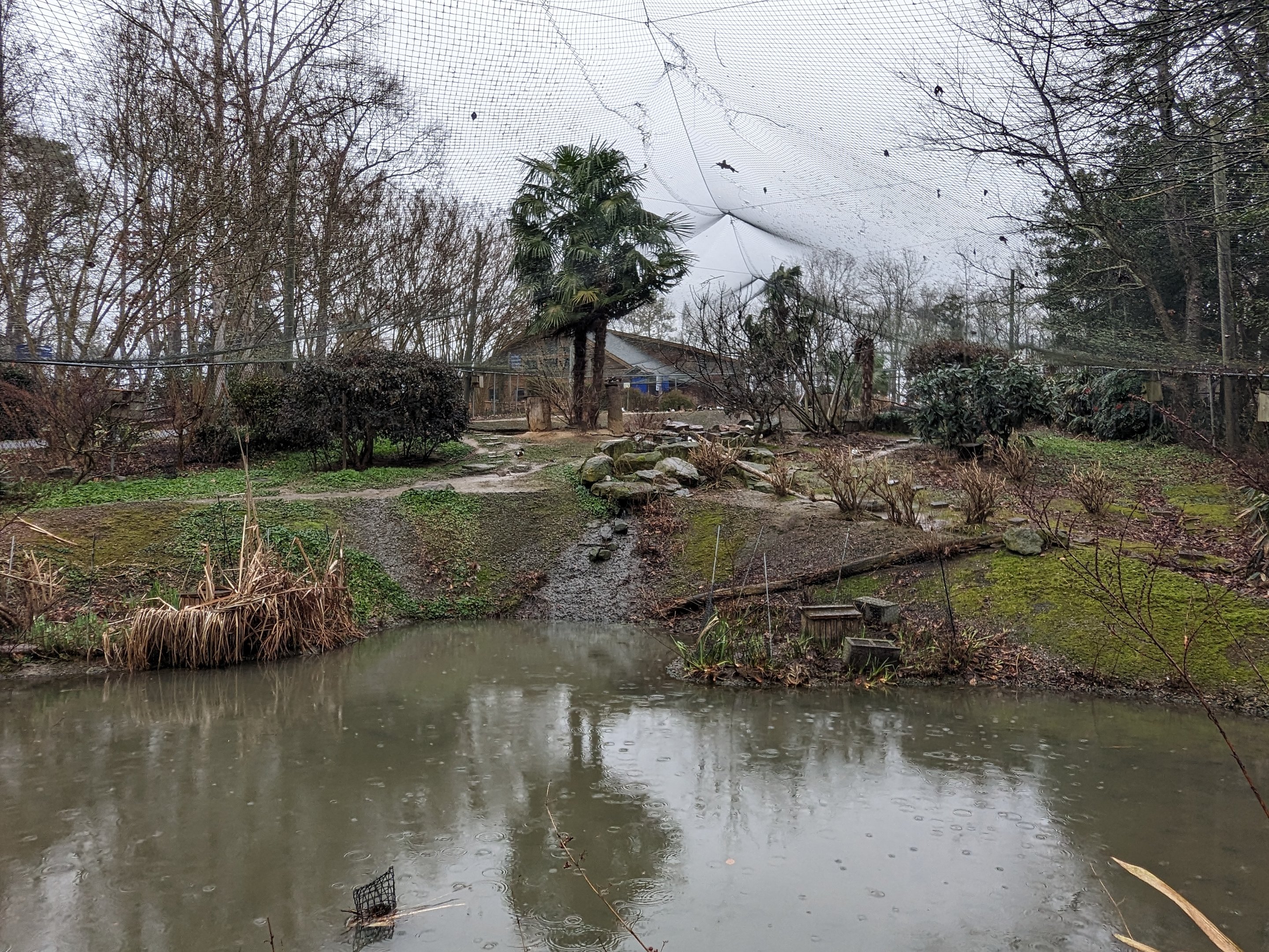 Eurasia Aviary - landscape