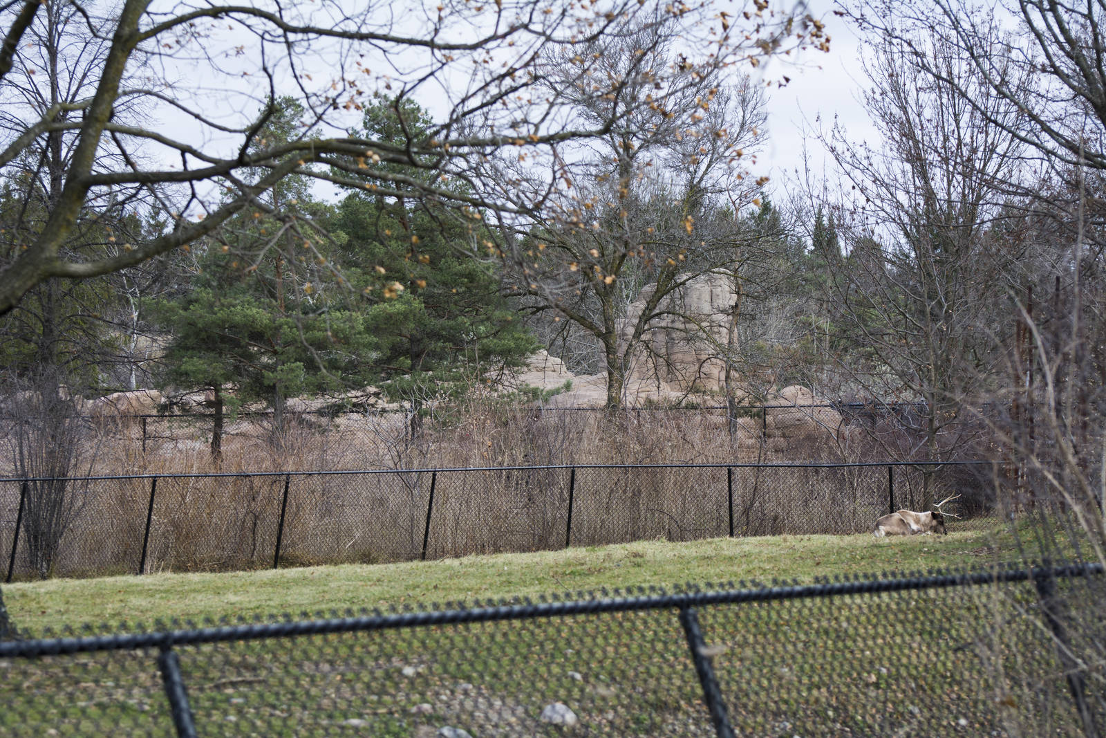 Eurasia Development 2