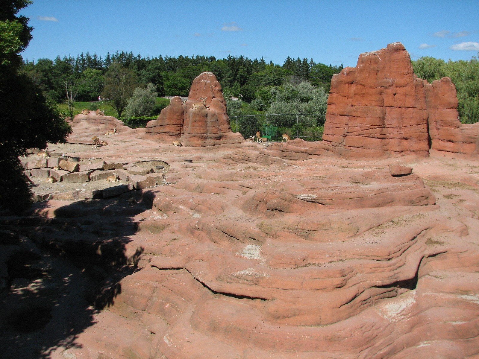 Eurasia Goat Exhibit
