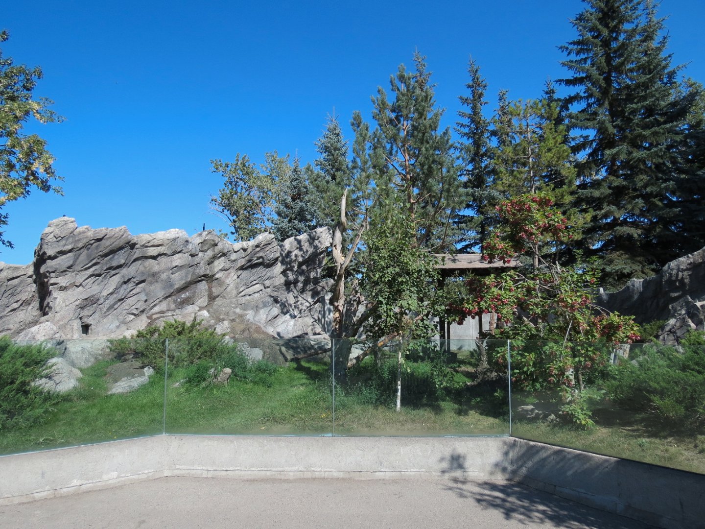 Eurasia - Red Panda Exhibit