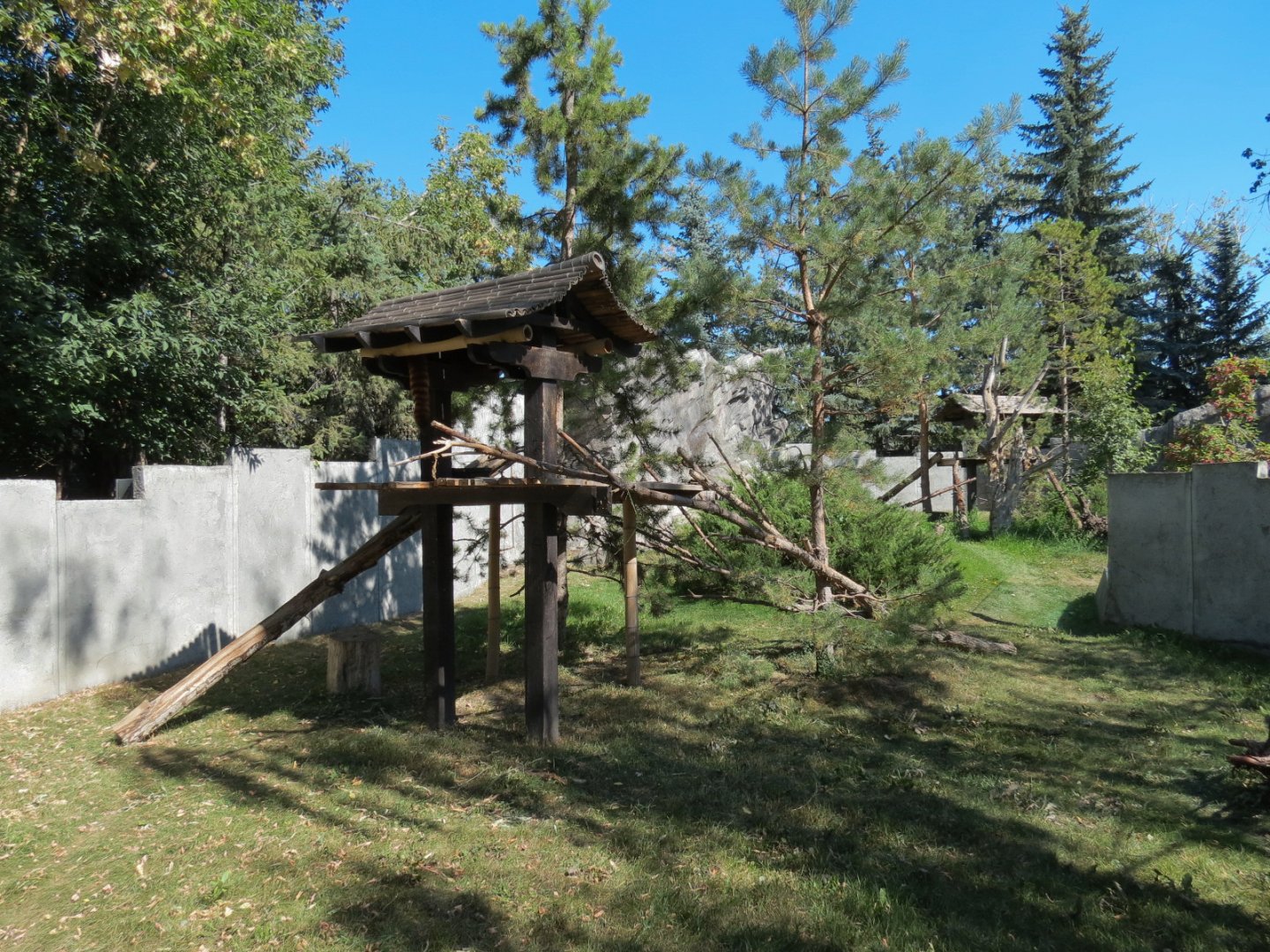Eurasia - Red Panda Exhibit