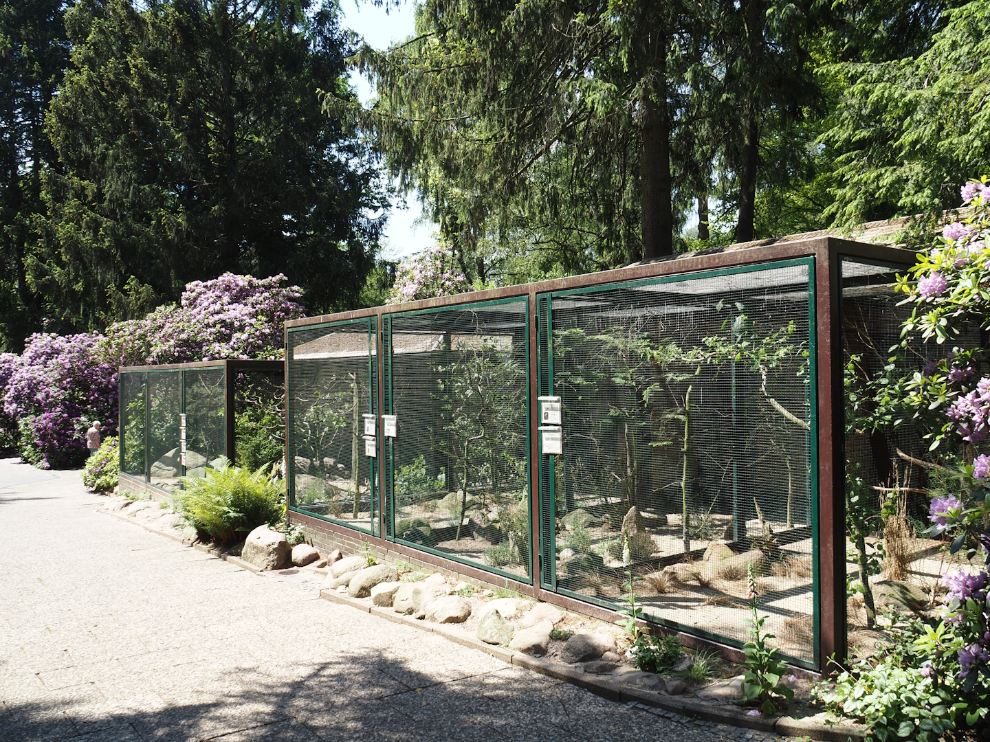 Eurasian aviary block, 2024-05-21