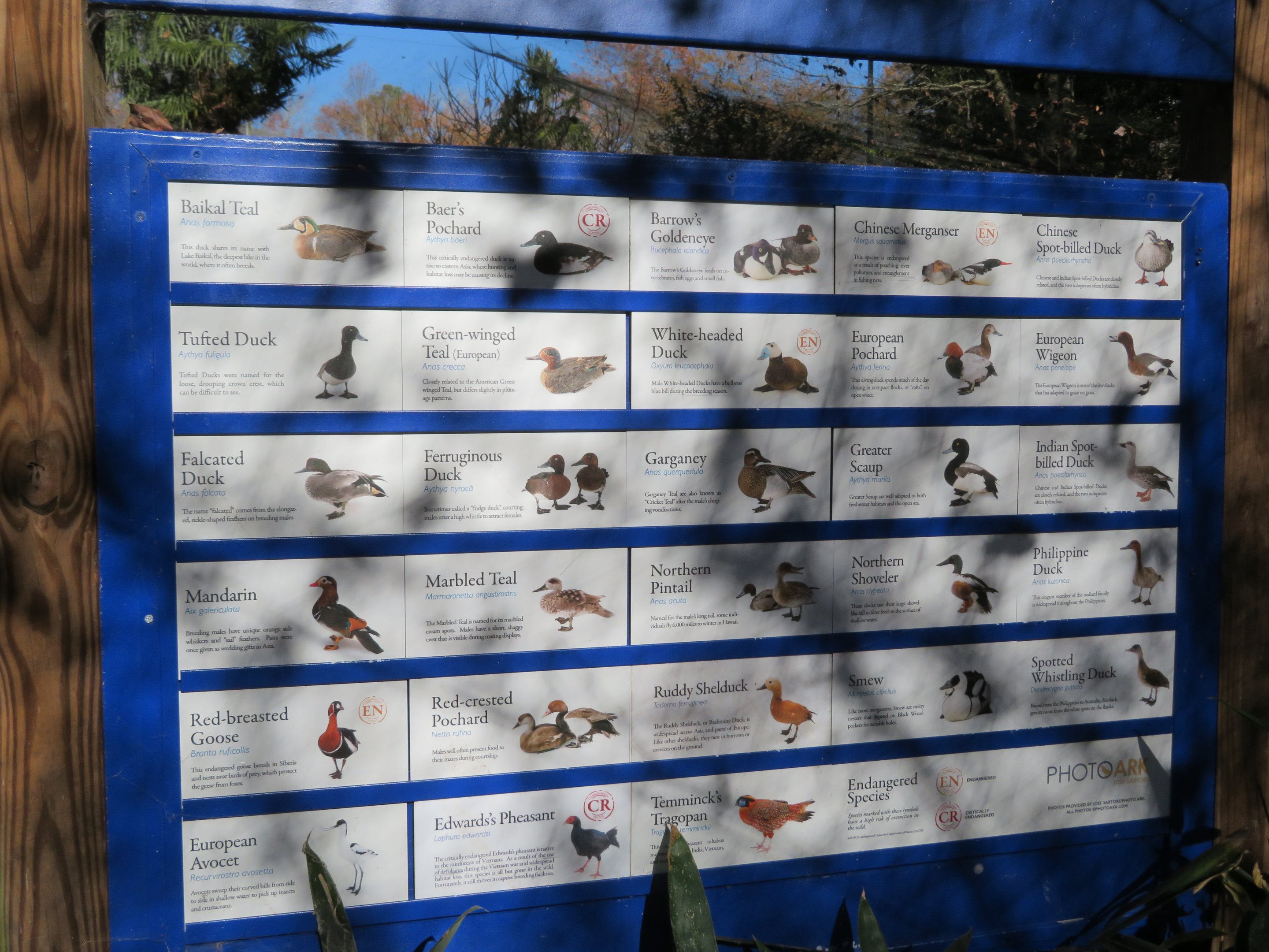 Eurasian Aviary Signage