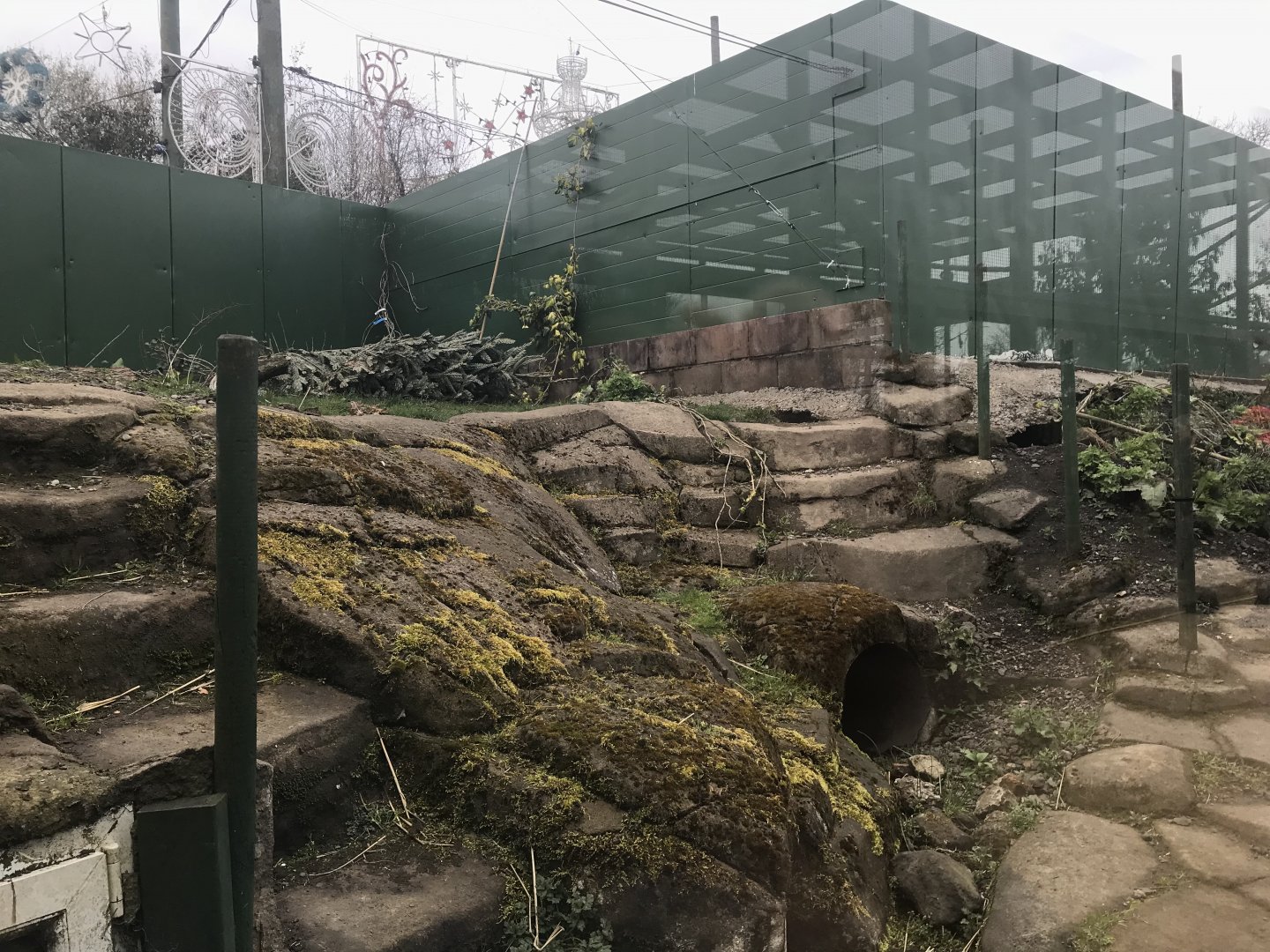 Eurasian badger enclosure