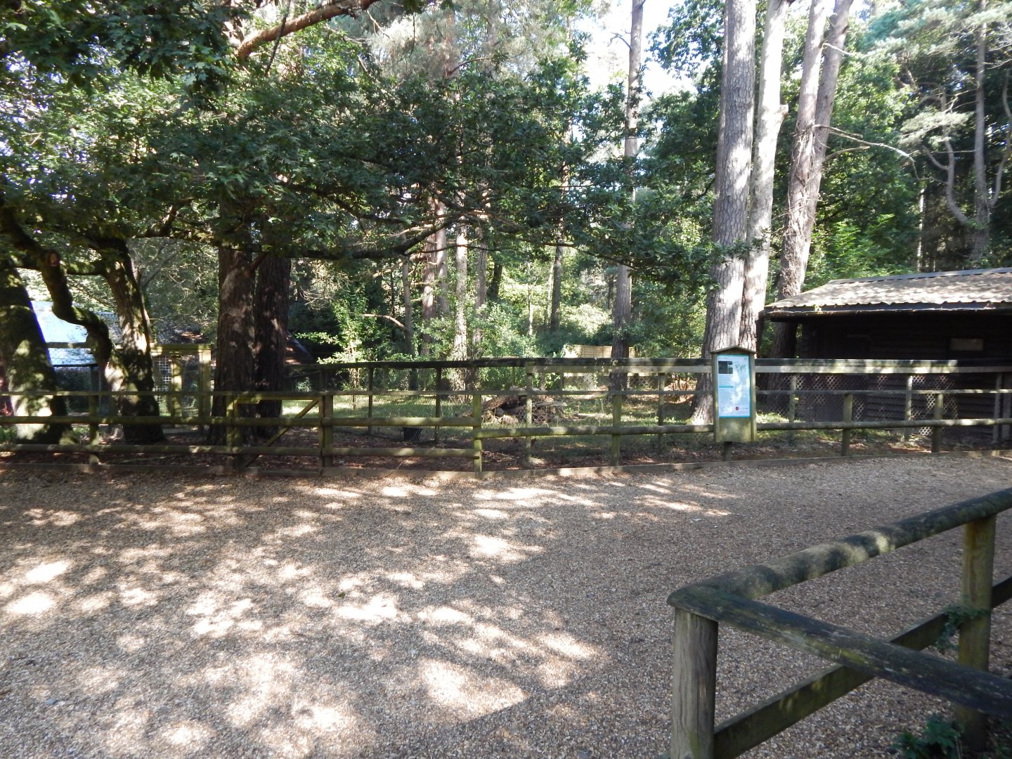 Eurasian badger habitat 130924