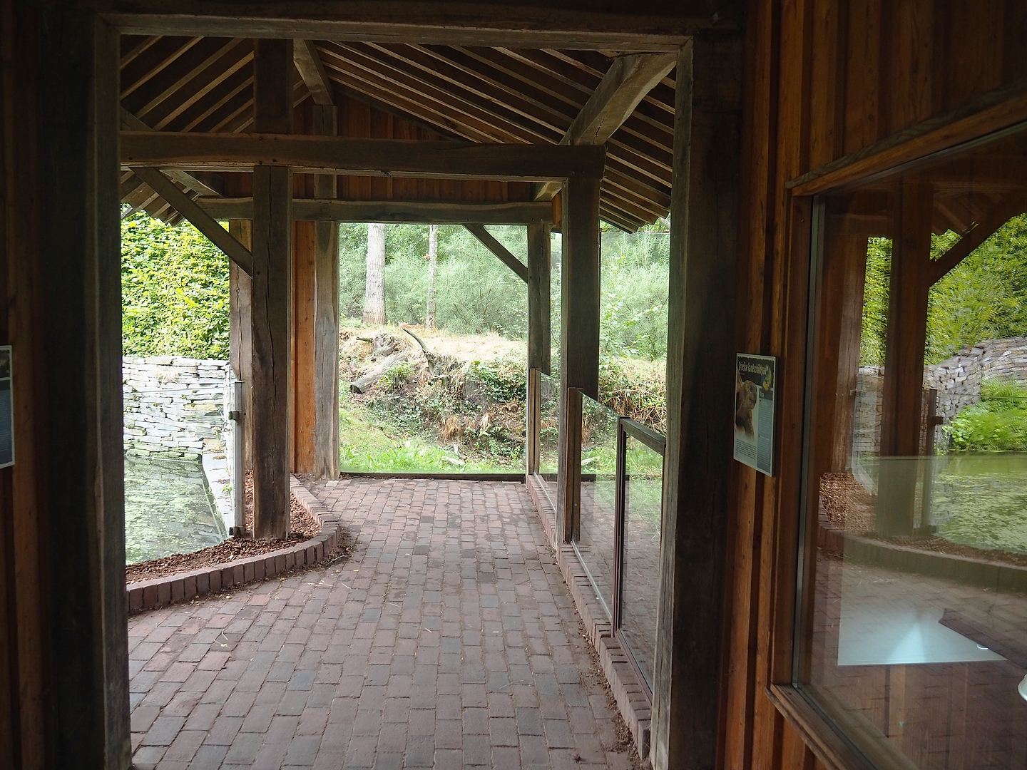 Eurasian beaver and Hermann's tortoise viewing area, 2022-08-20