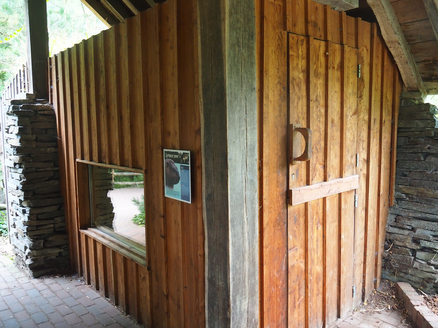 Eurasian beaver den, 2022-08-20