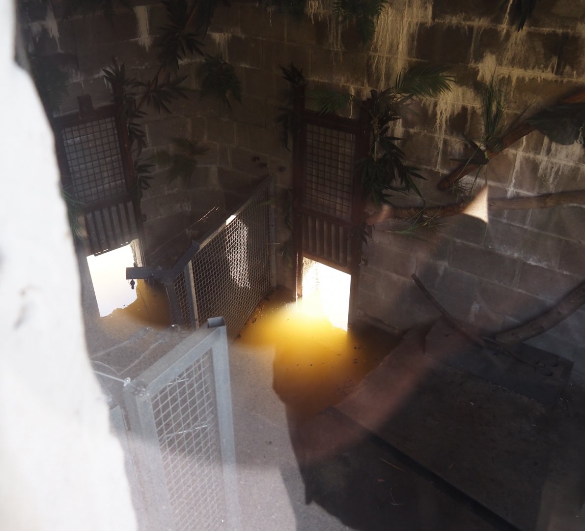 Eurasian beaver den, 2024-09-17