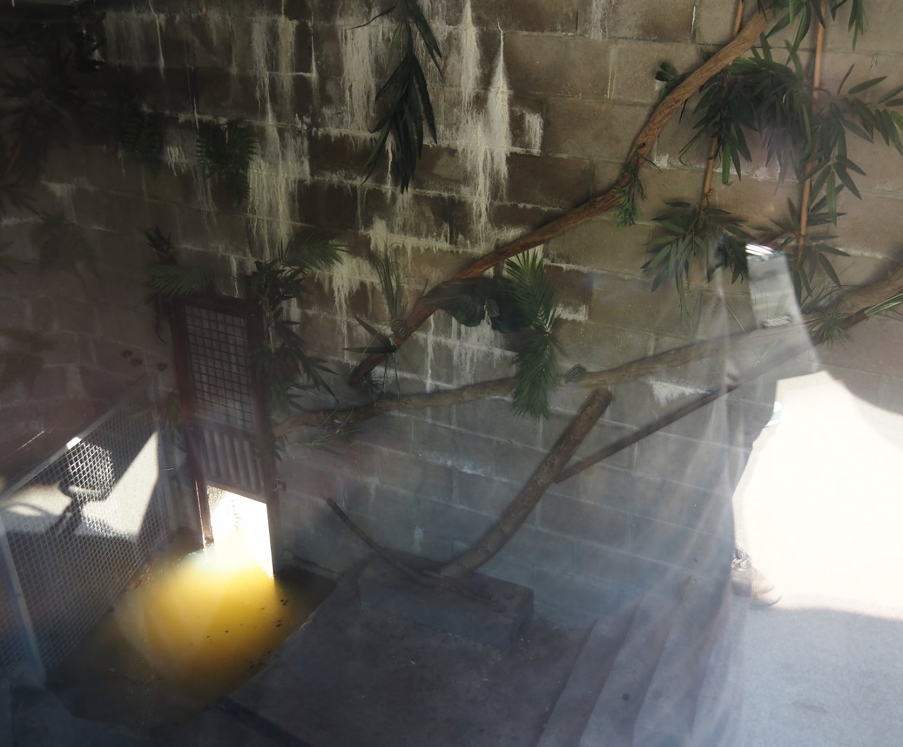 Eurasian beaver den, 2024-09-17