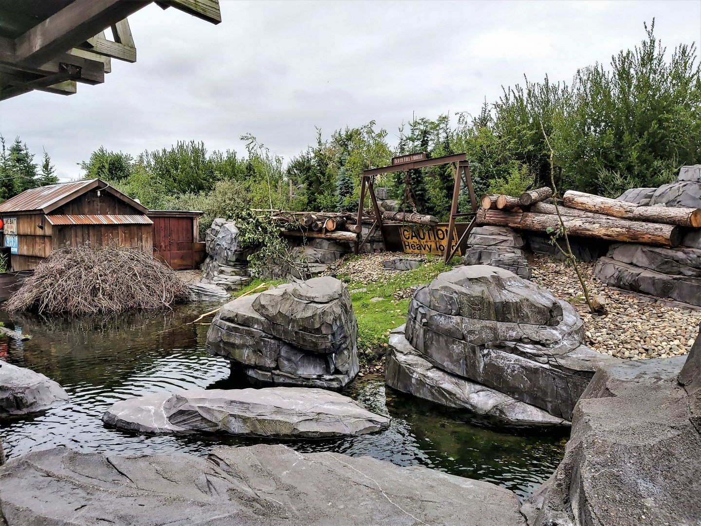 Eurasian beaver enclosure