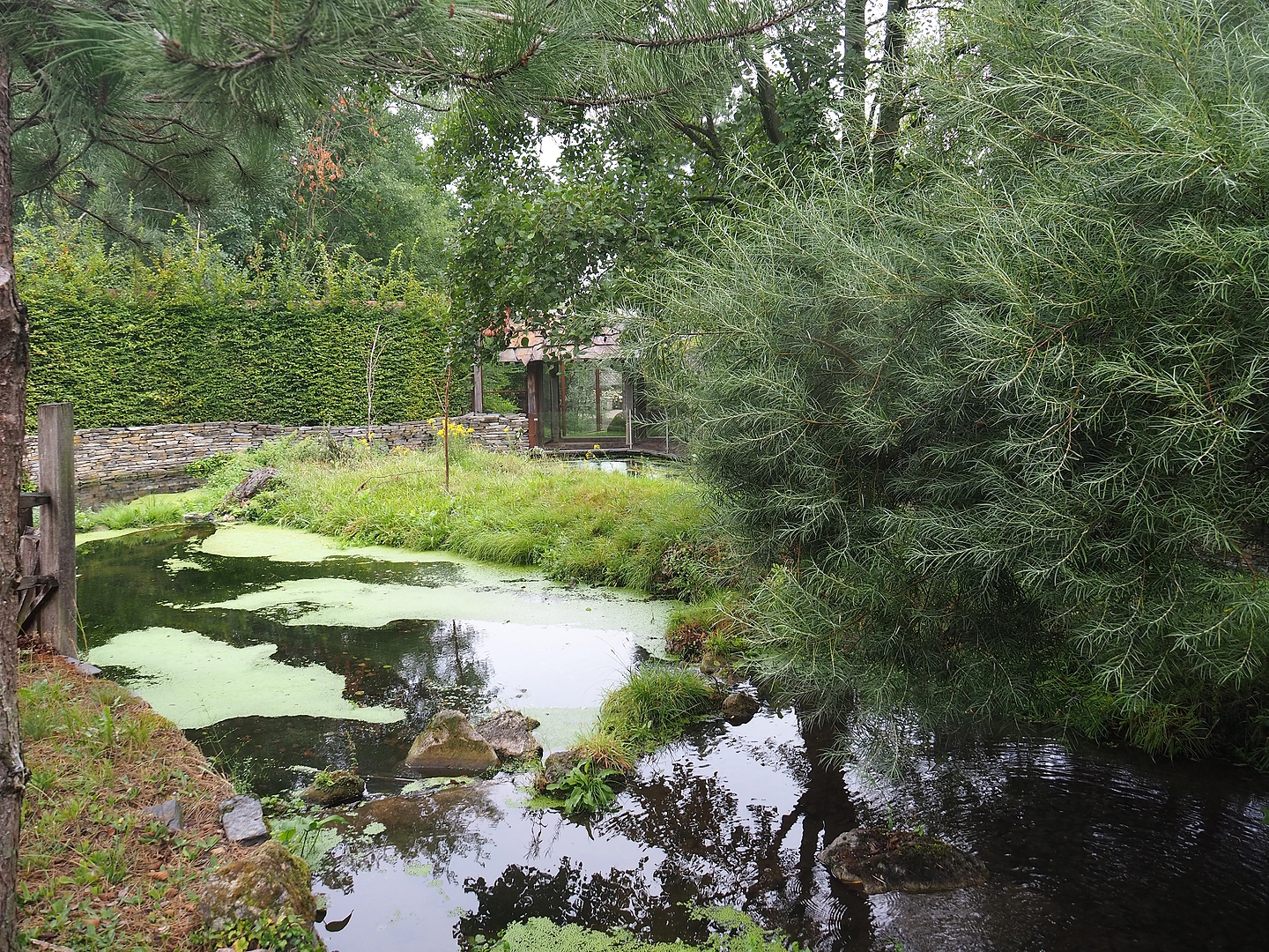 Eurasian beaver exhibit, 2022-08-20