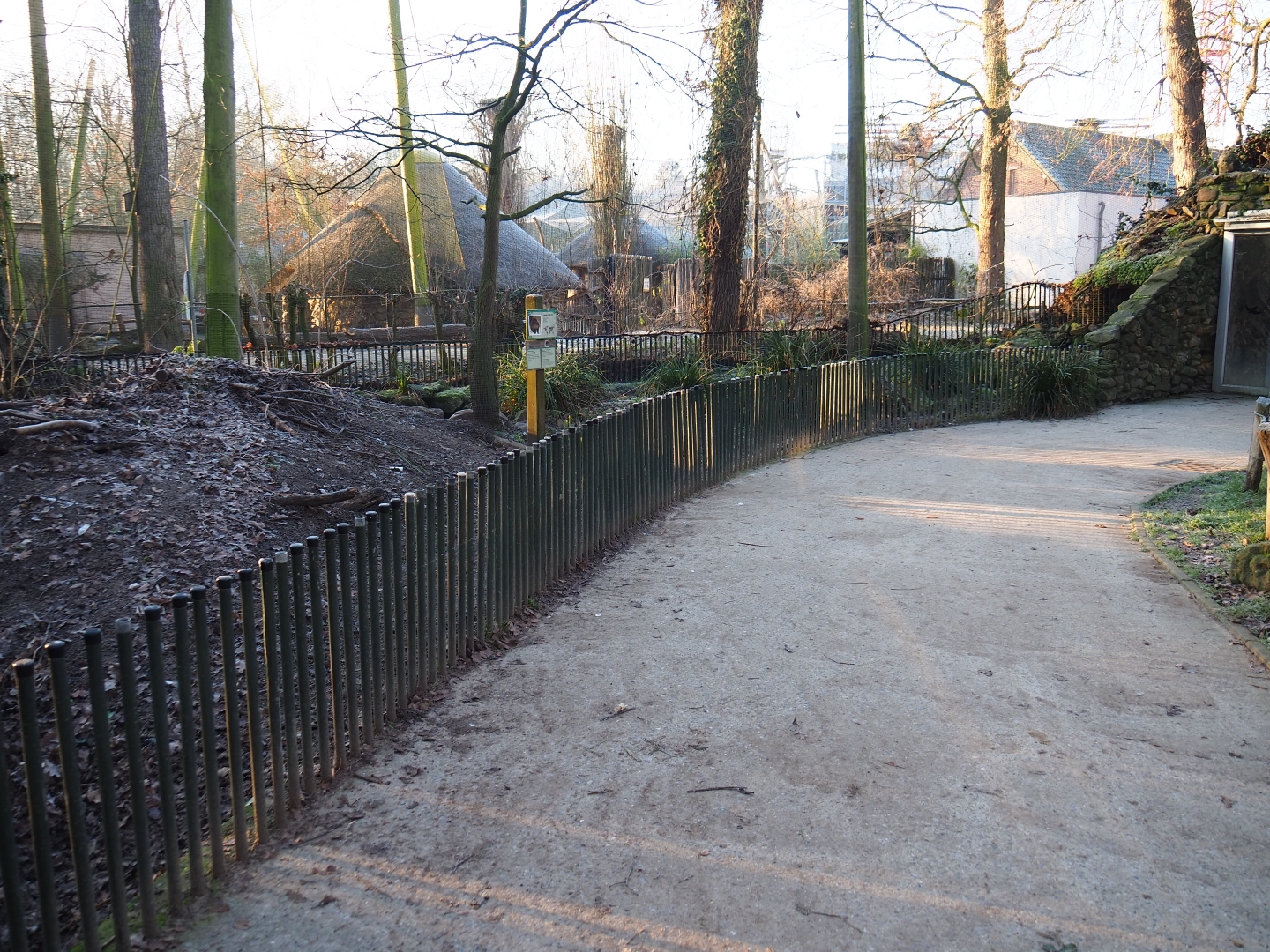 Eurasian beaver exhibit (Jan 20th, 2019)