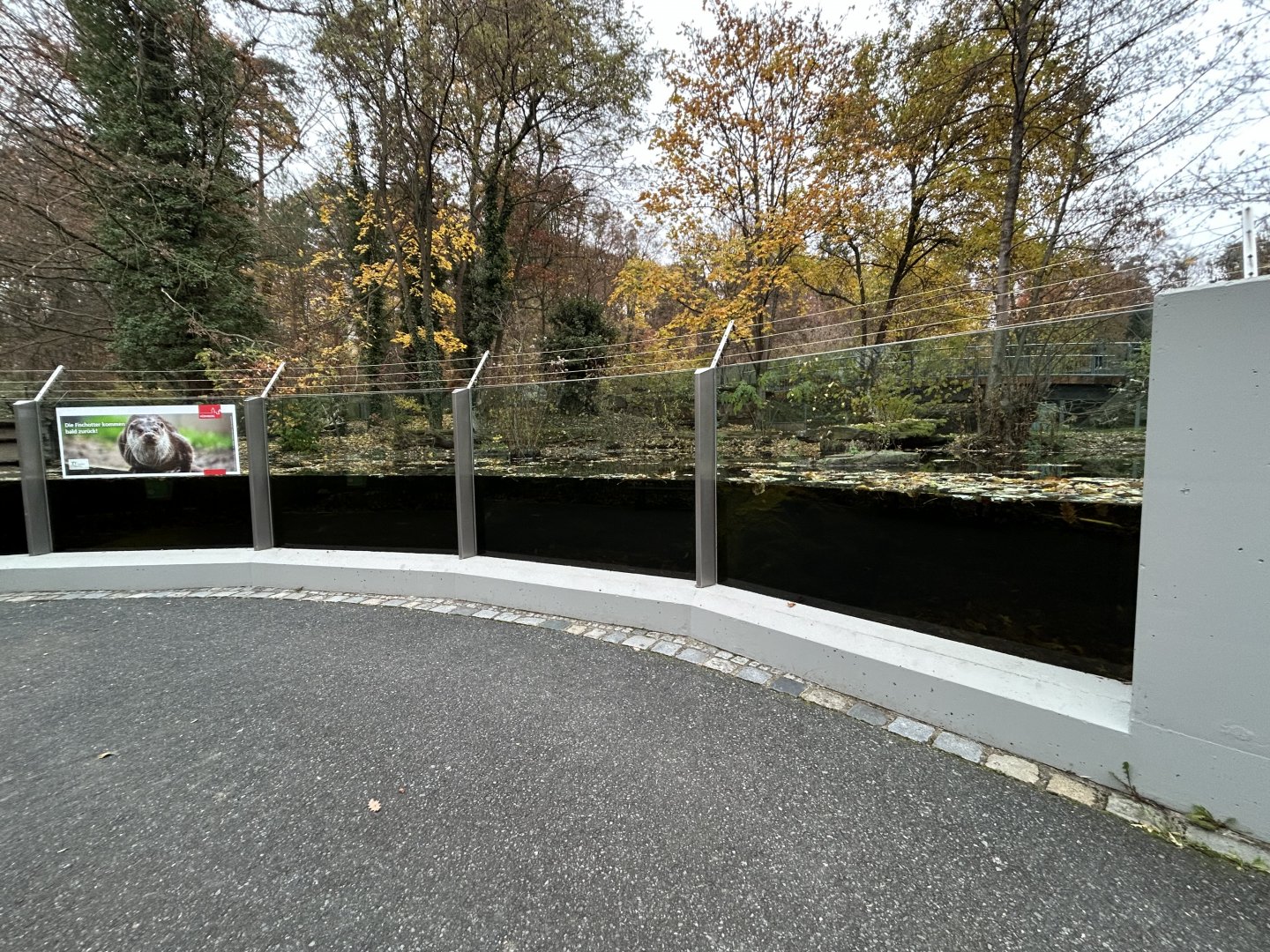 Eurasian Beaver Exhibit