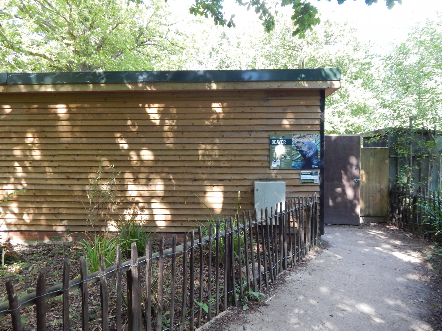 Eurasian beaver habitat 030924