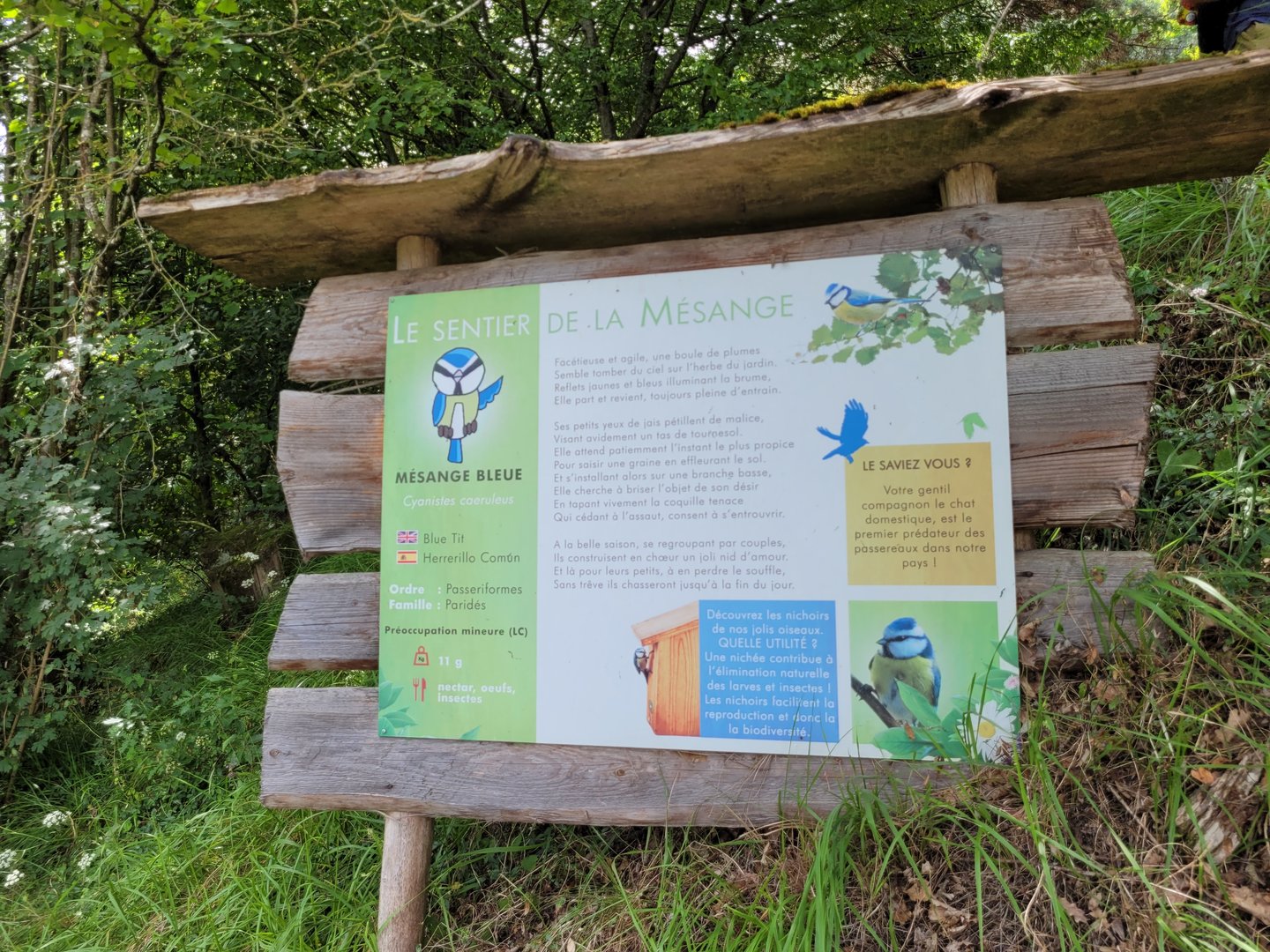 Eurasian blue tit sign -Parc Animalier des Pyrénées (2023)