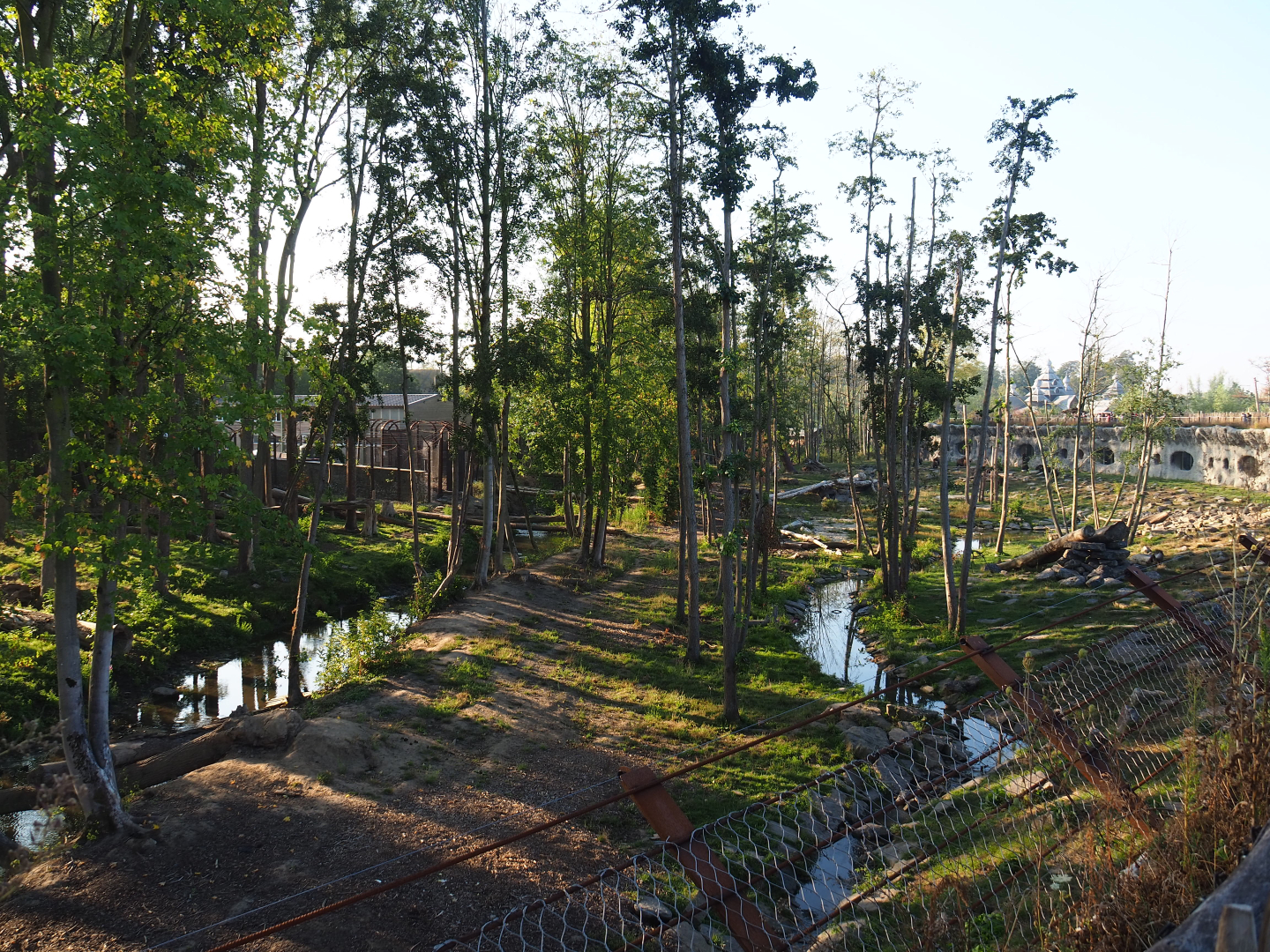 Eurasian brown bear and Eurasian grey wolf exhibit, 2020-09-02