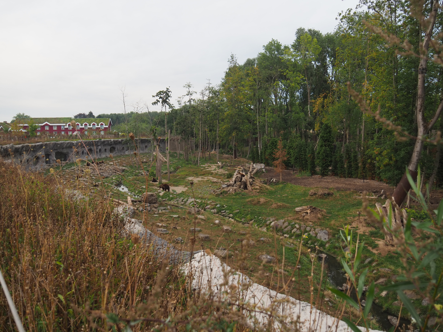 Eurasian brown bear and Eurasian grey wolf exhibit, 2020-09-02