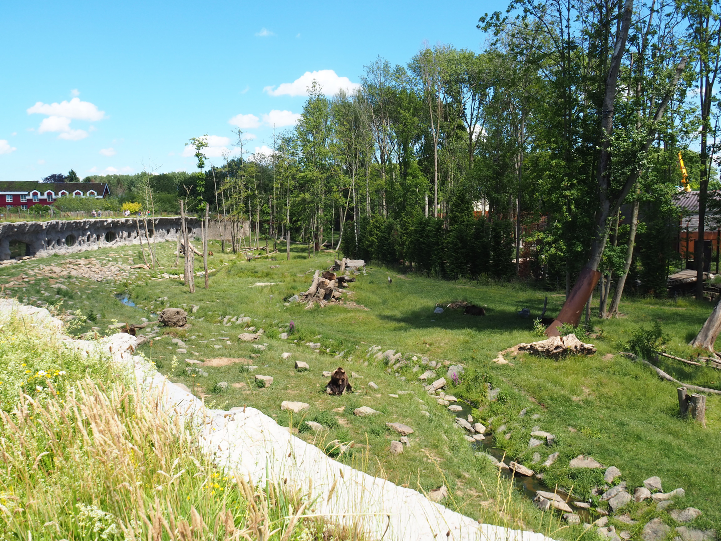 Eurasian brown bear and Eurasian grey wolf exhibit, 2022-06-28