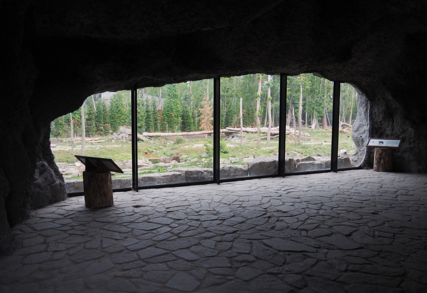 Eurasian brown bear and Eurasian grey wolf viewing cave, 2020-09-02