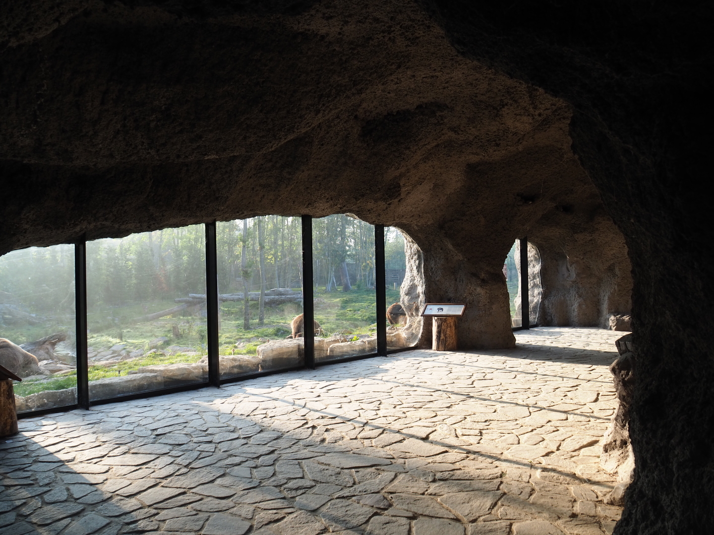 Eurasian brown bear and Eurasian wolf viewing cave, 2021-09-03