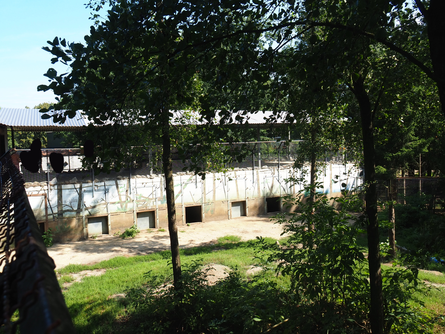 Eurasian brown bear den building and bear forest viewing area, 2019-08-04