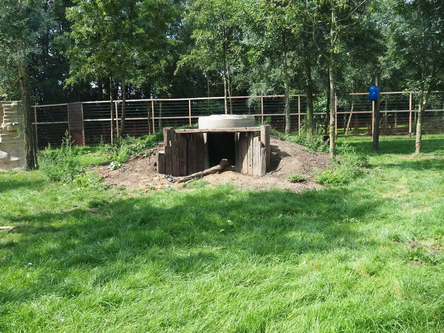 Eurasian brown bear den