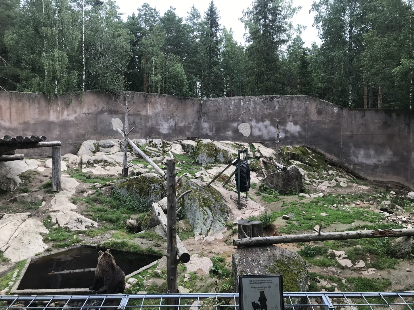 Eurasian brown bear enclosure