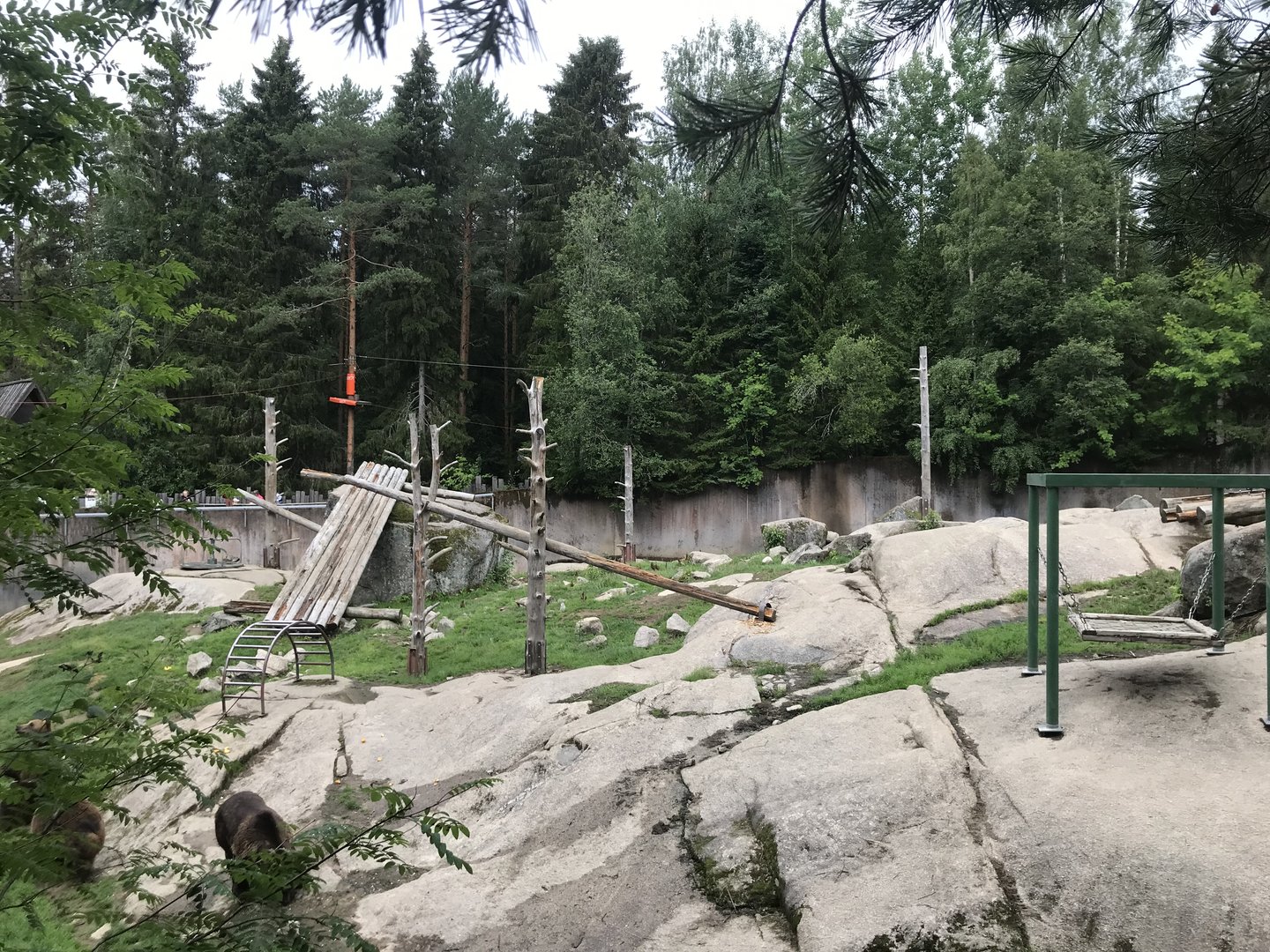 Eurasian brown bear enclosure