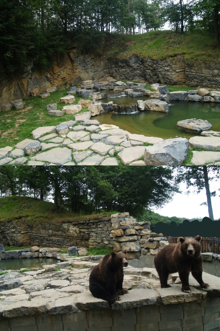 Eurasian brown bear exhibit, 2008-08-02