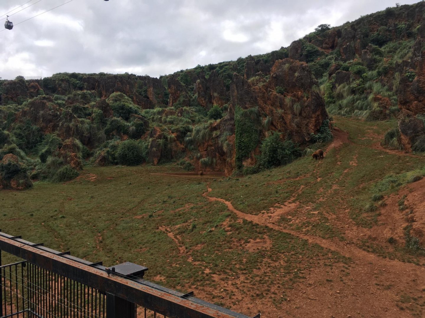 Eurasian brown bear exhibit-Cabarceno 2019