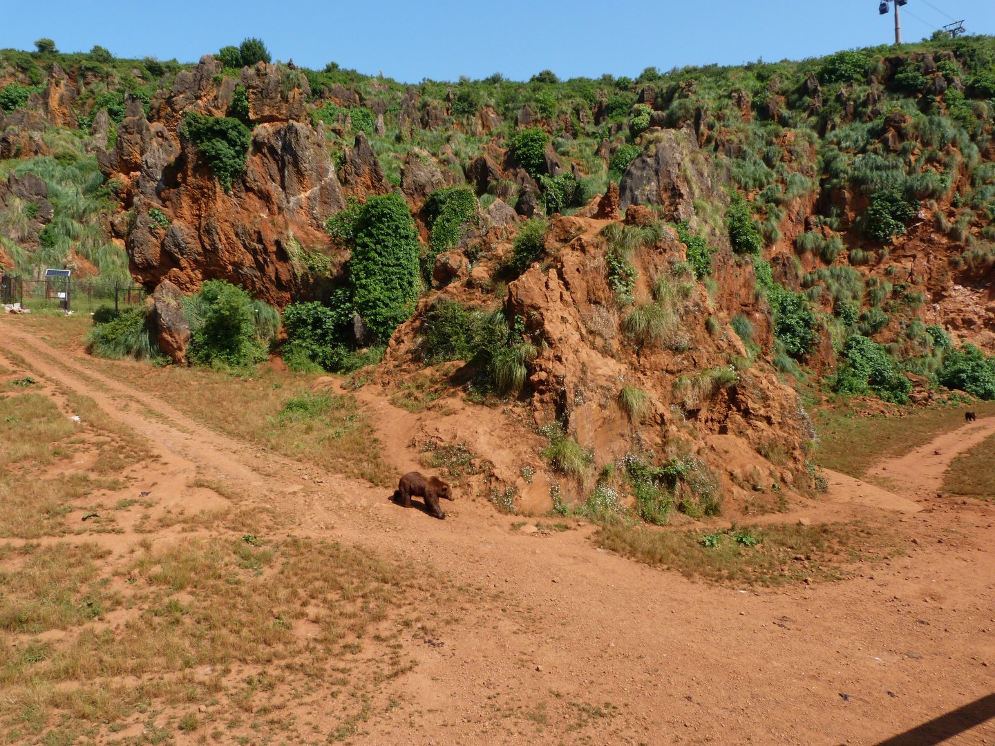 Eurasian brown bear exhibit -Parque de la Naturaleza de Cabárceno (2025)