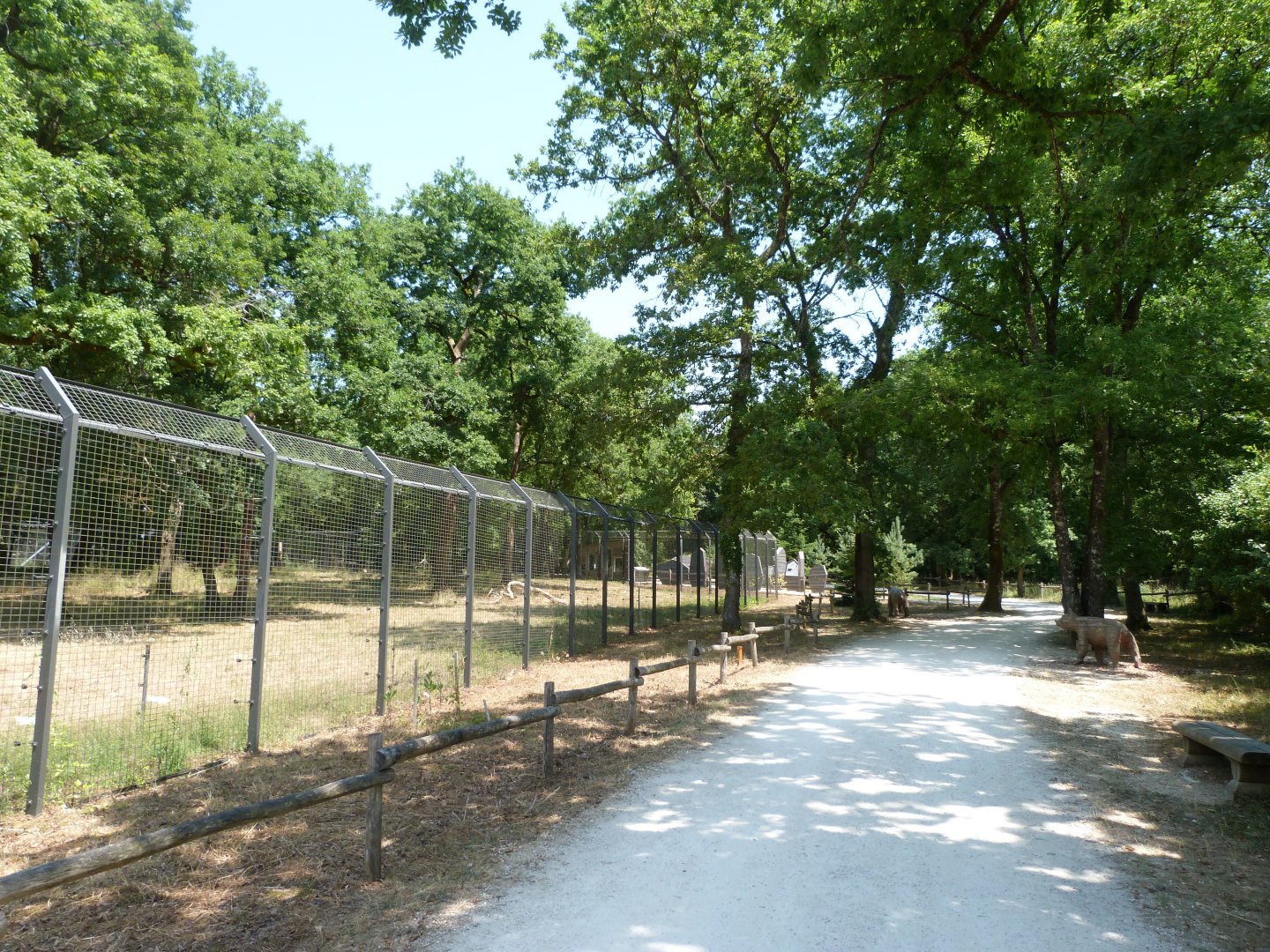 Eurasian brown bear exhibit view -Zoodyssée (2025)