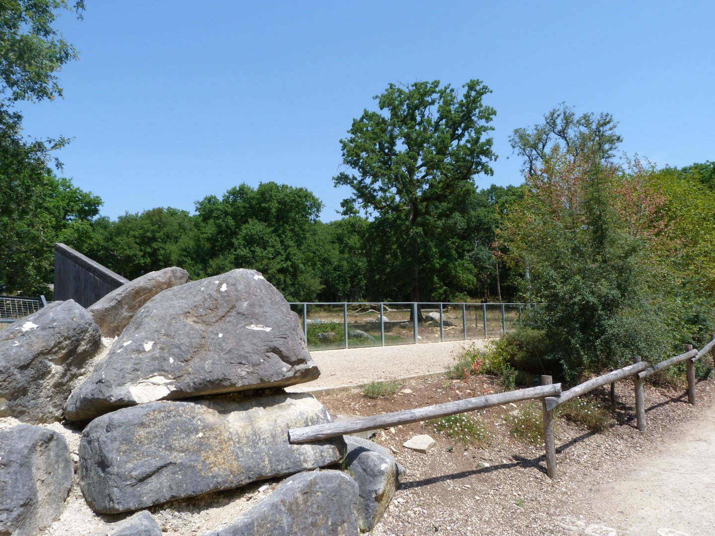 Eurasian brown bear exhibit viewing area -Zoodyssée (2025)