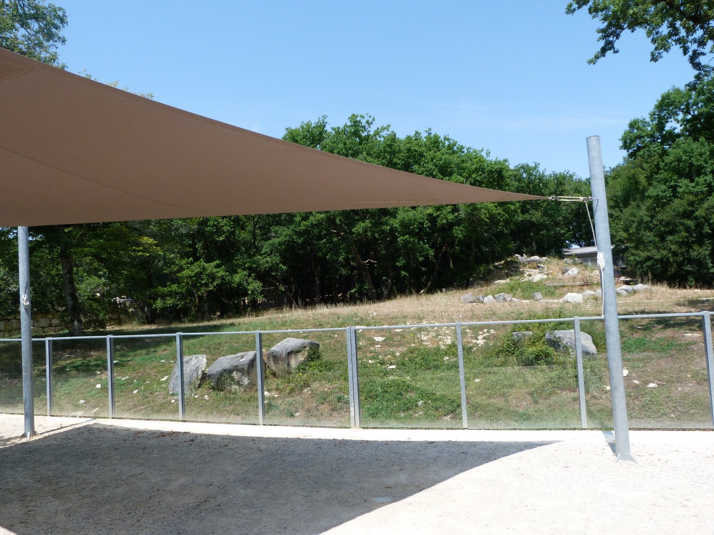 Eurasian brown bear exhibit viewing area -Zoodyssée (2025)