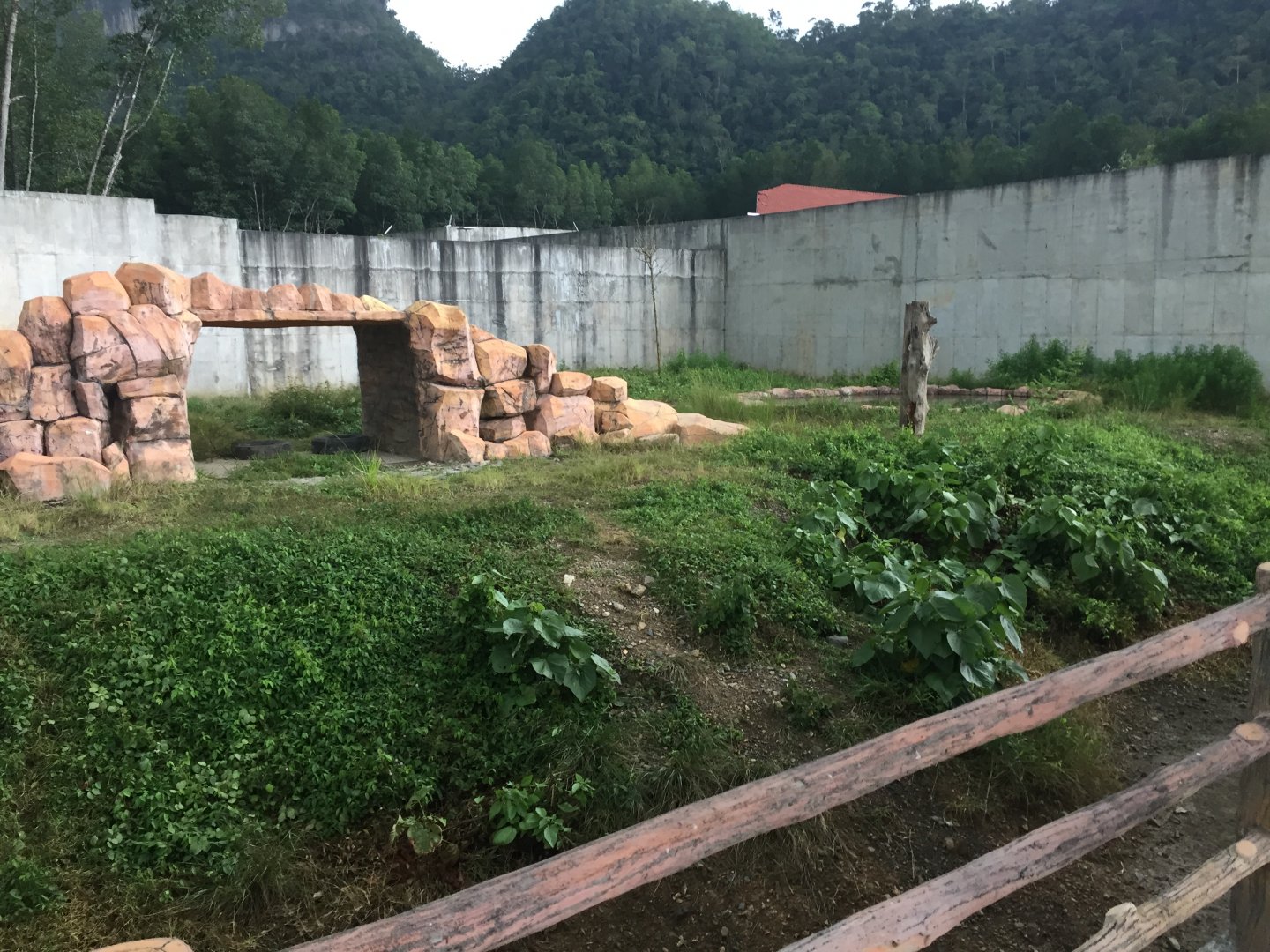 Eurasian Brown Bear Exhibit