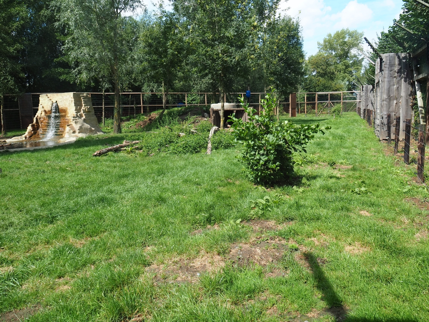 Eurasian brown bear exhibit