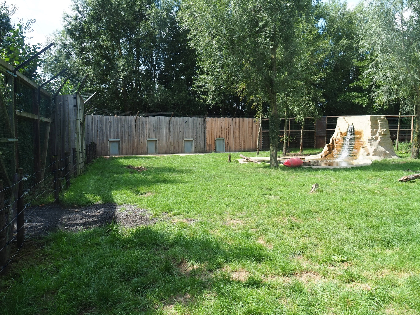 Eurasian brown bear exhibit