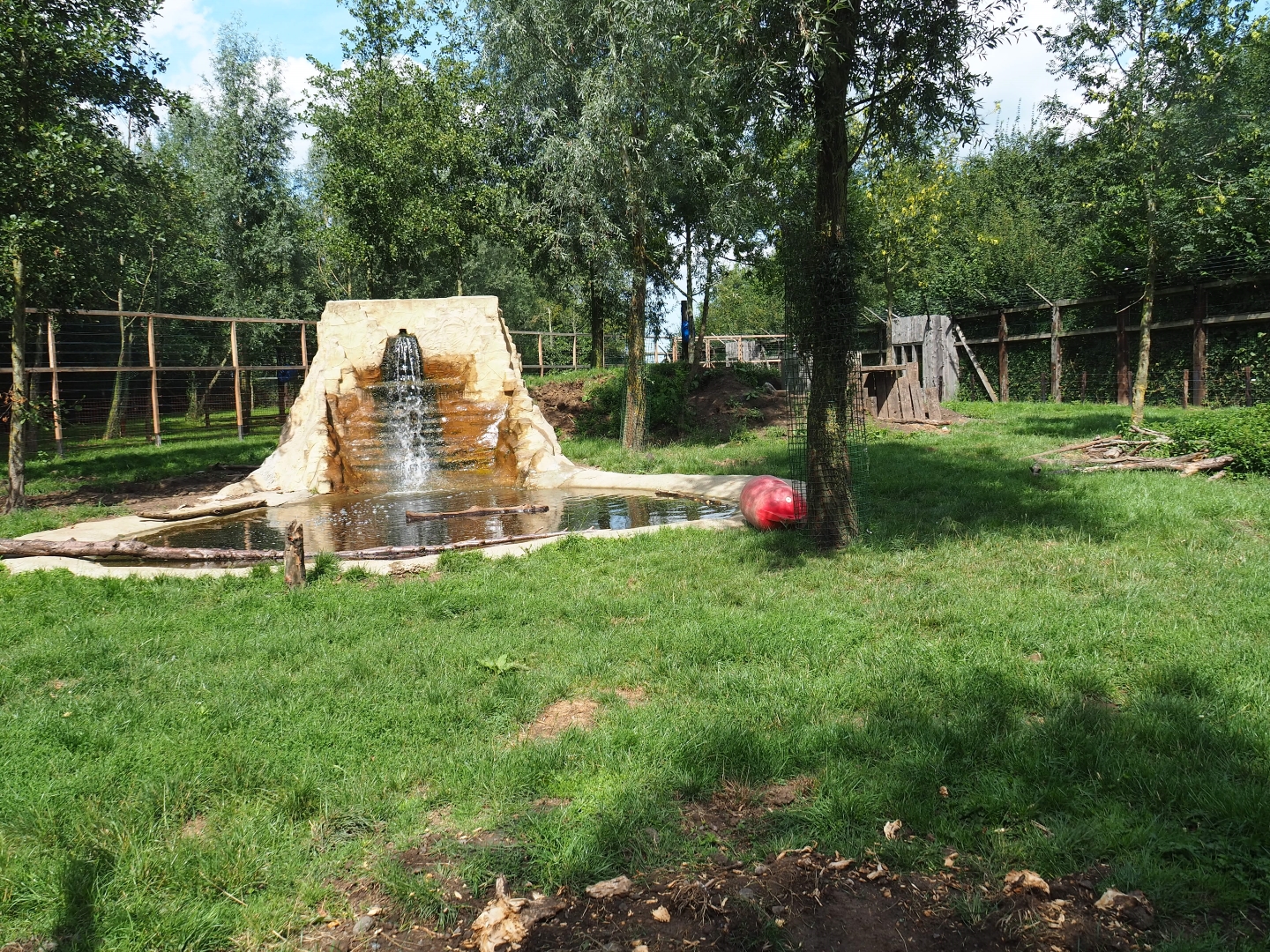Eurasian brown bear exhibit