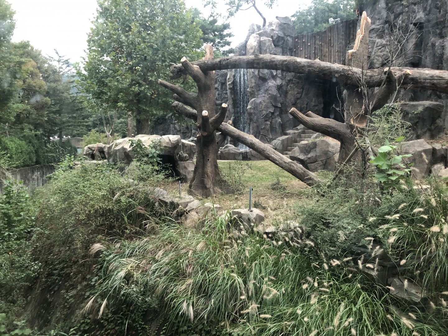 Eurasian Brown Bear Exhibit