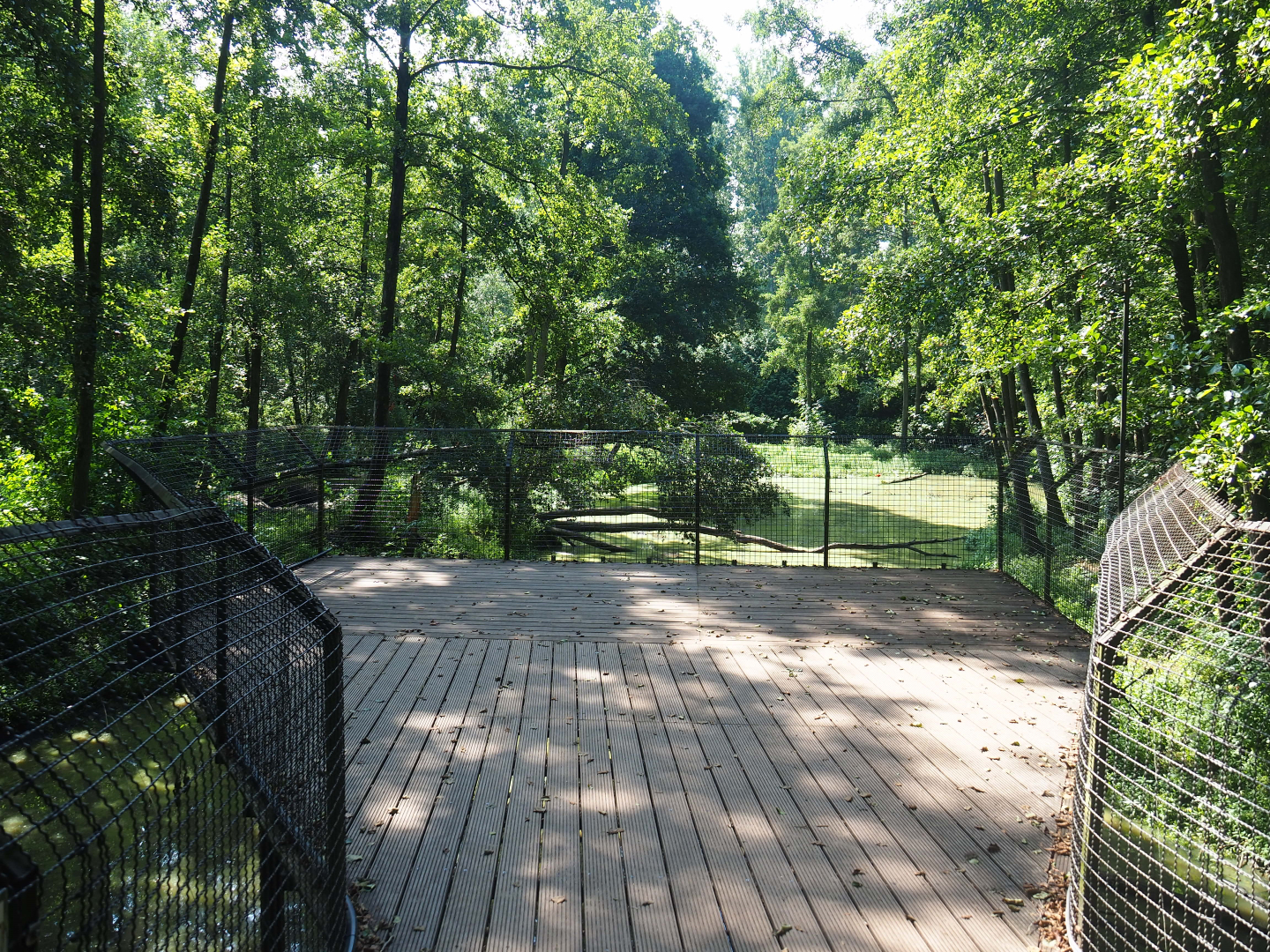 Eurasian brown bear forest viewing area, 2019-08-04
