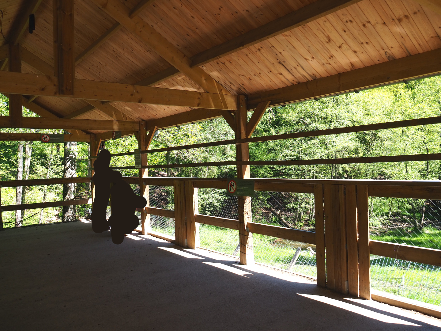 Eurasian brown bear forest viewing area, 2021-05-29