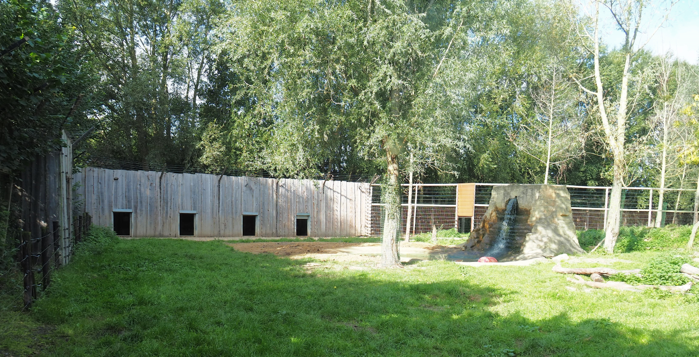 Eurasian brown bear holding building and part of the first section of the exhibit, 2020-09-12